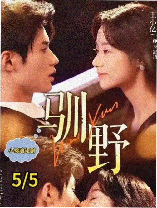 高墙上的名字剧情剧集